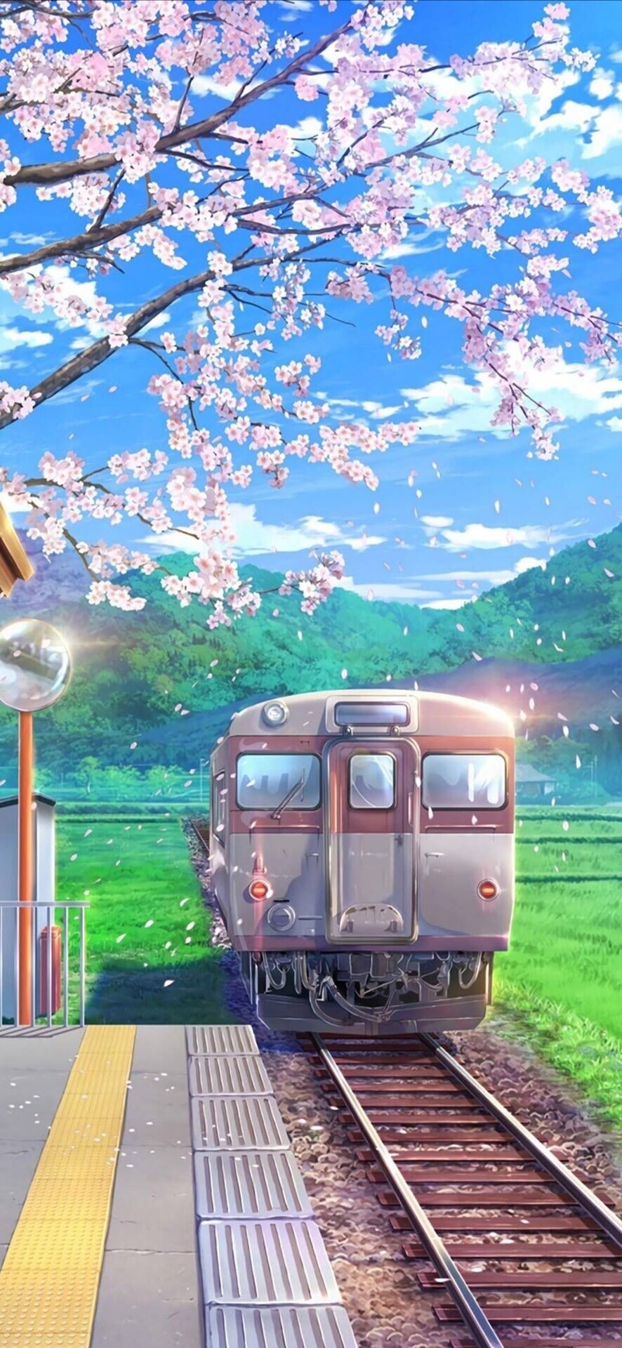 留在心底的那道风景